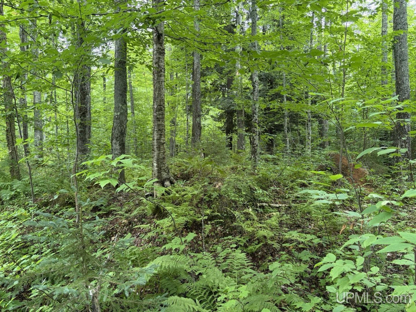 main property photo 10