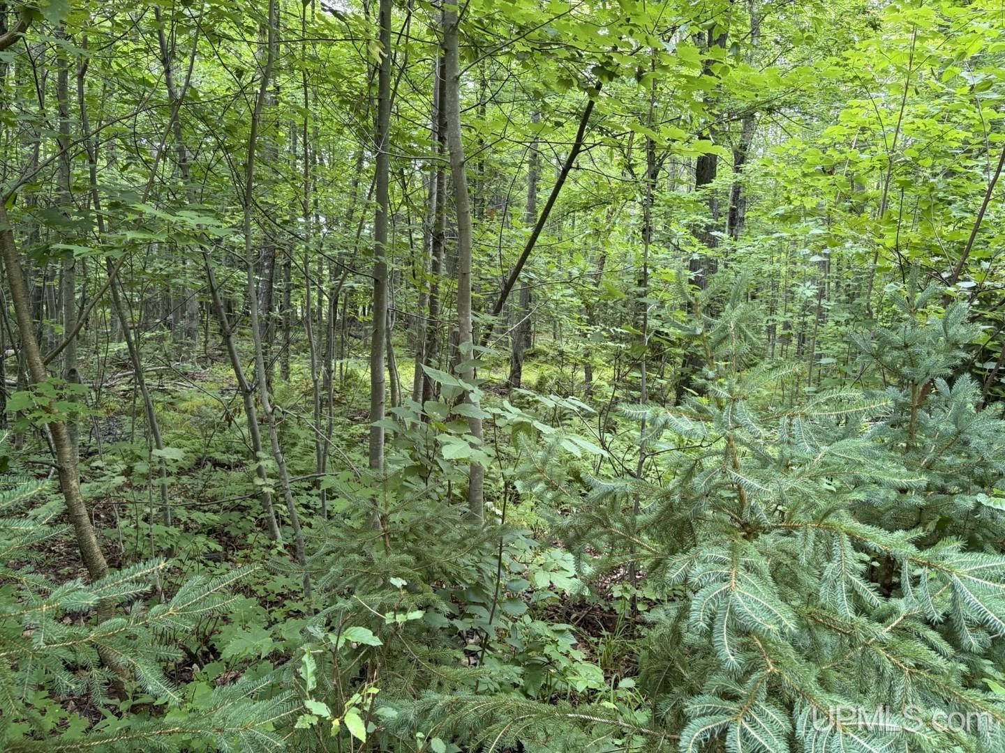 main property photo 11