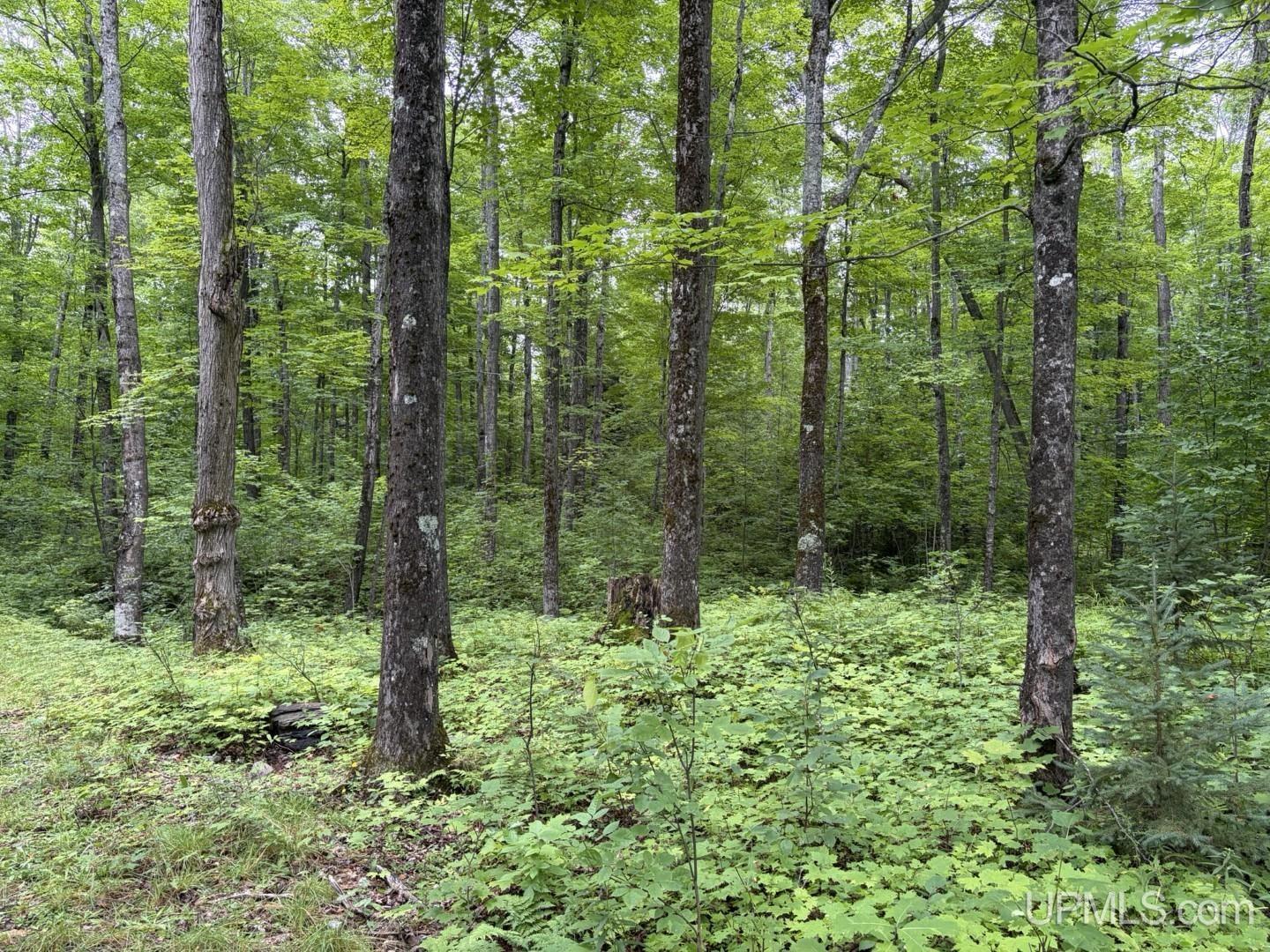 main property photo 12