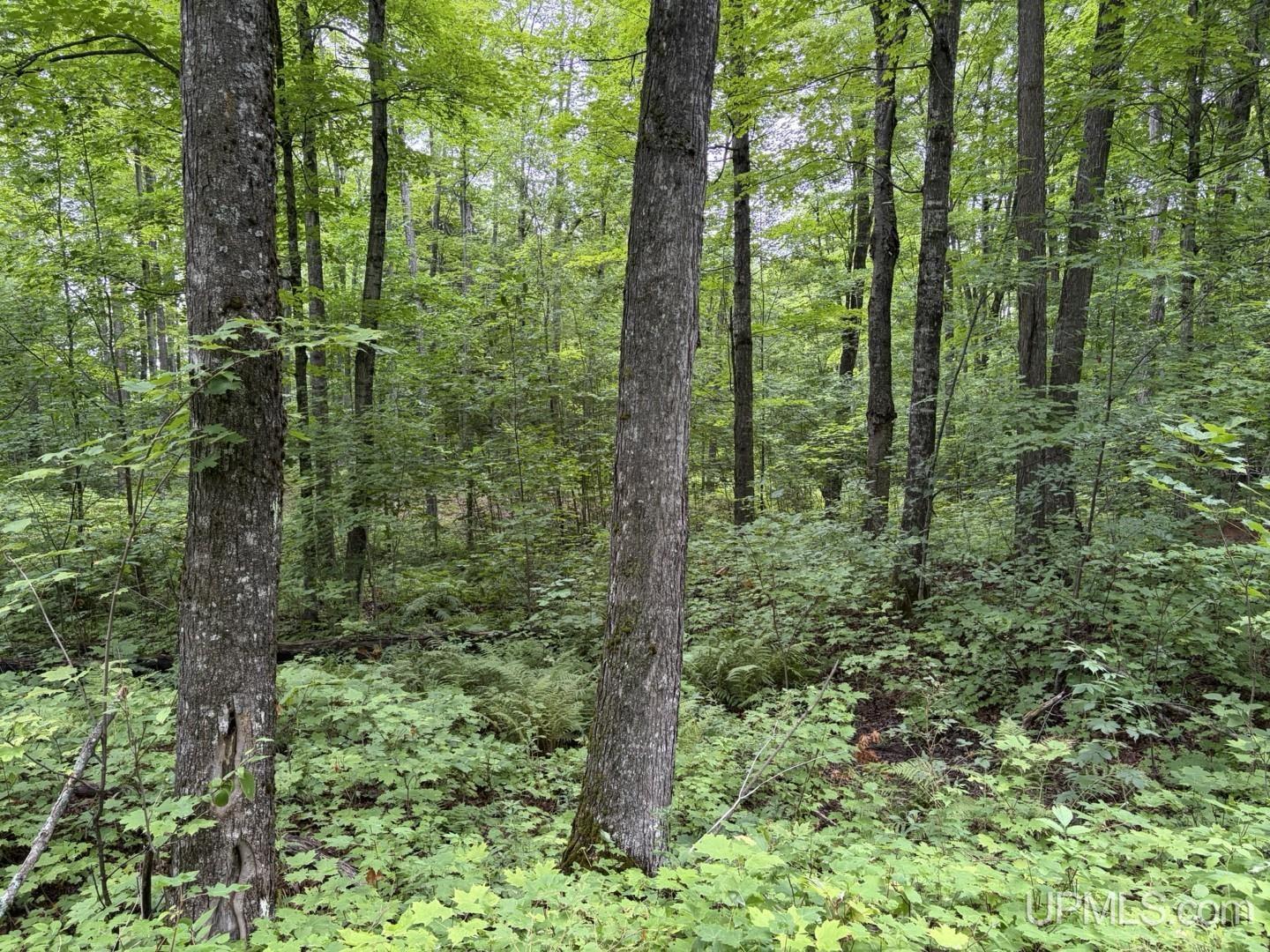 main property photo 13