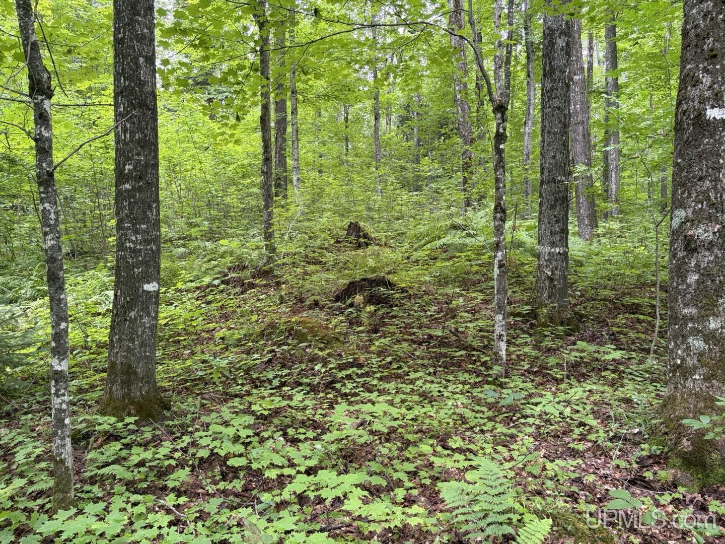 main property photo 14
