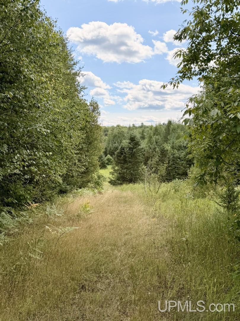 main property photo 49