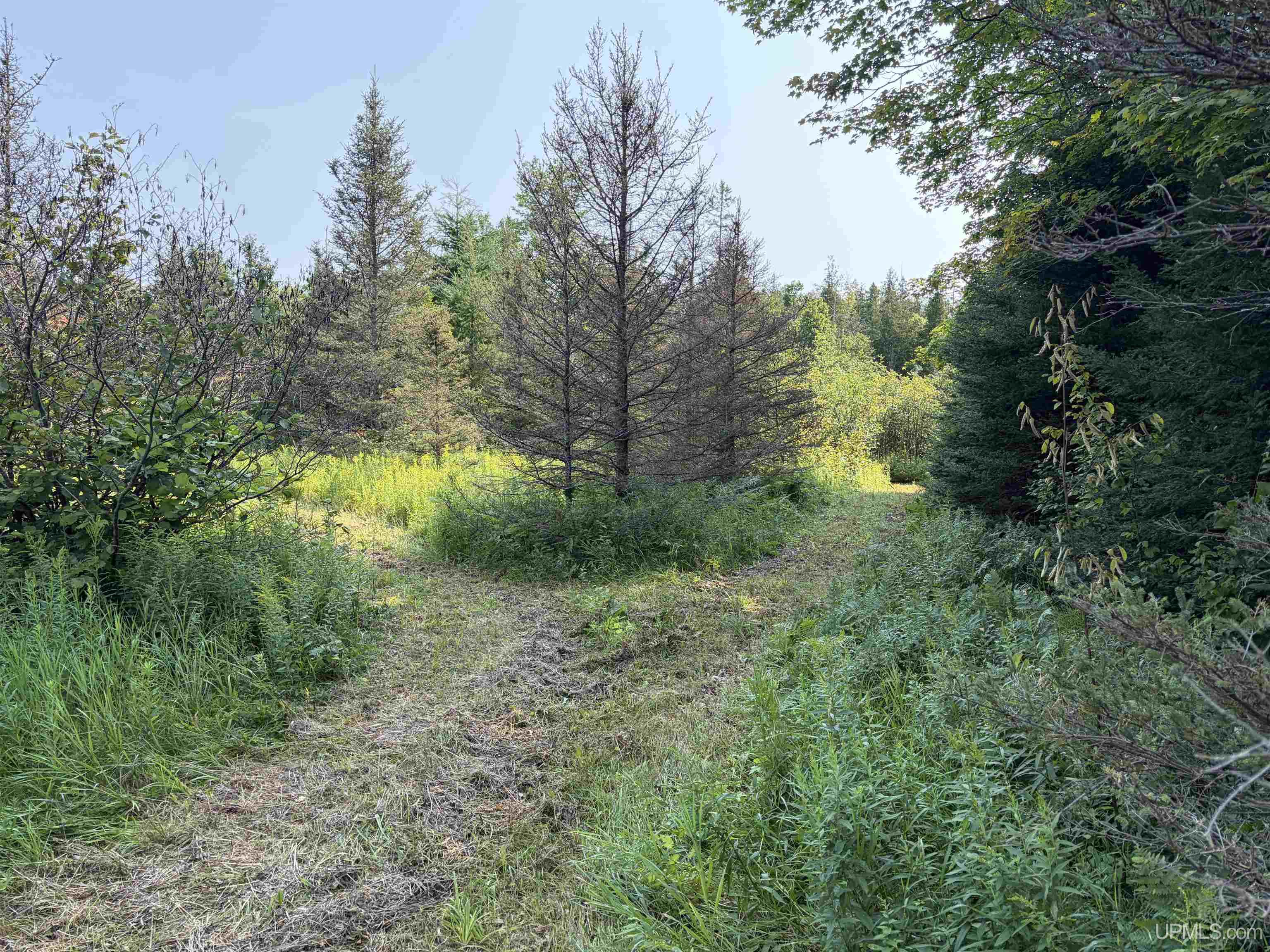 main property photo 23