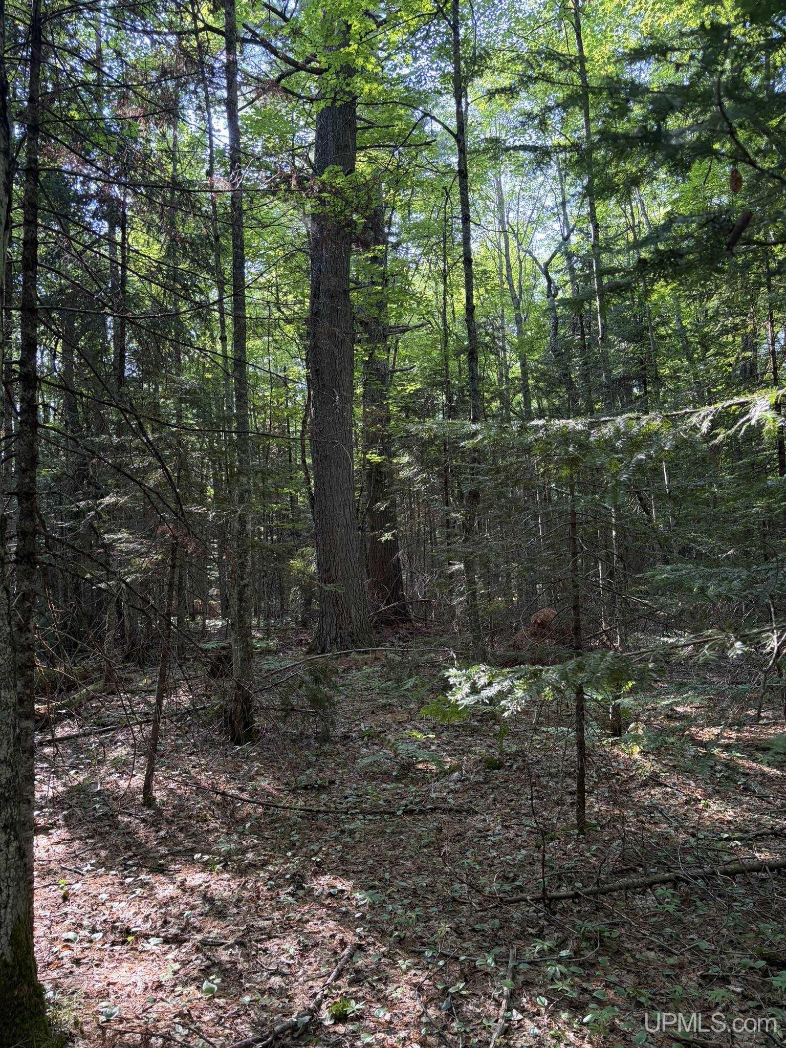 main property photo 33