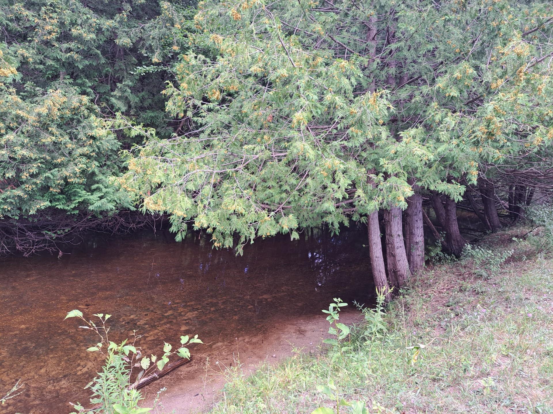 main property photo 18