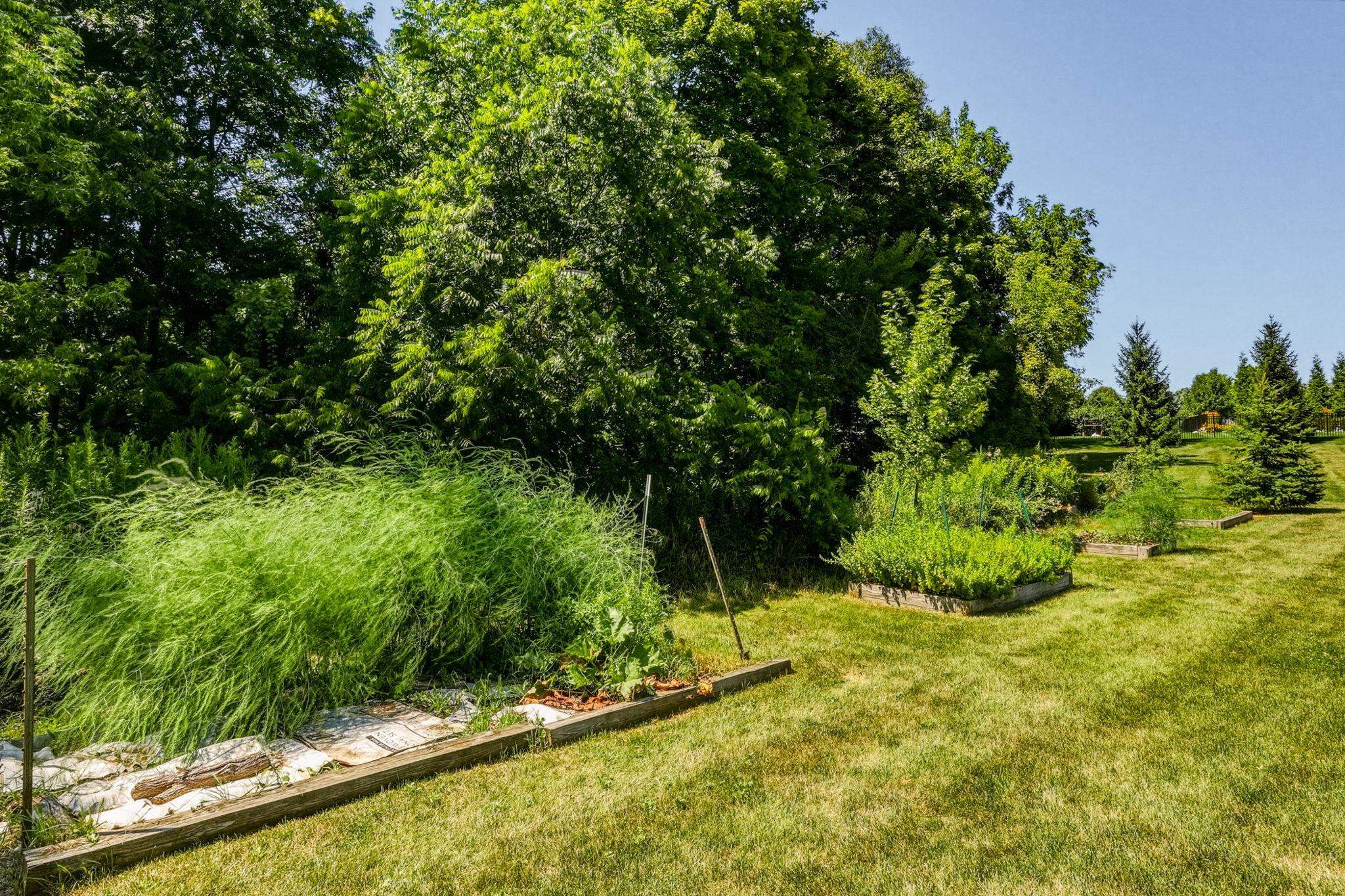 main property photo 65