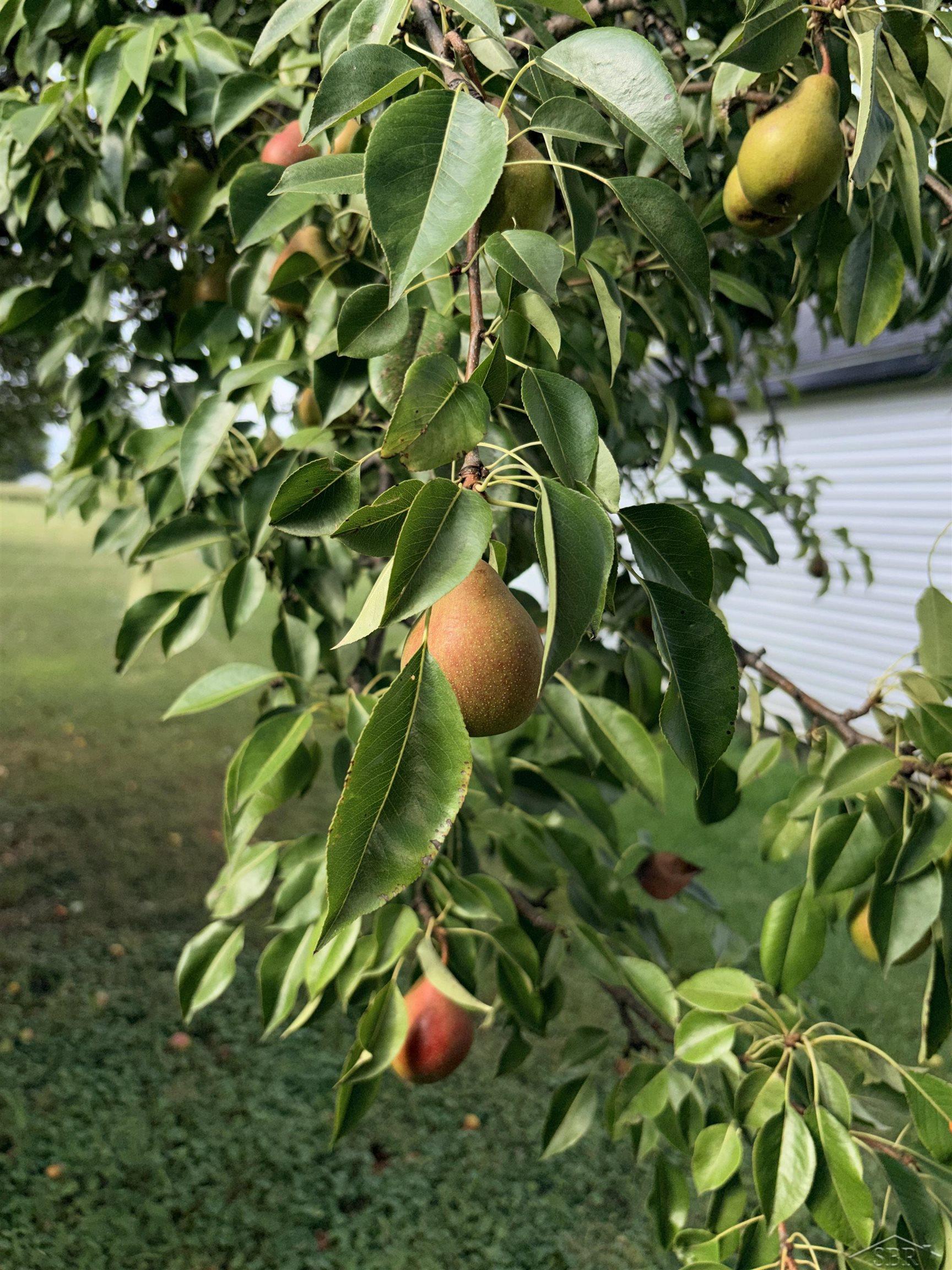 main property photo 31