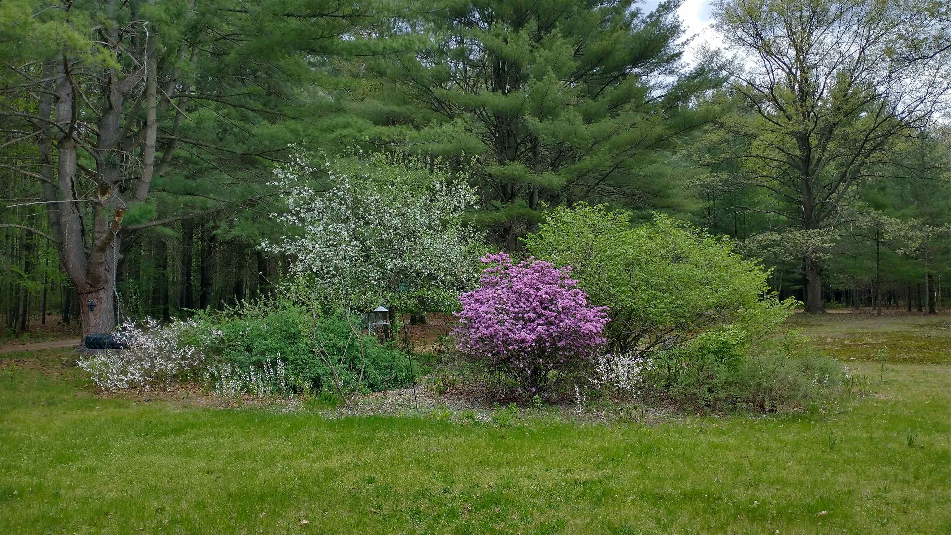 main property photo 56