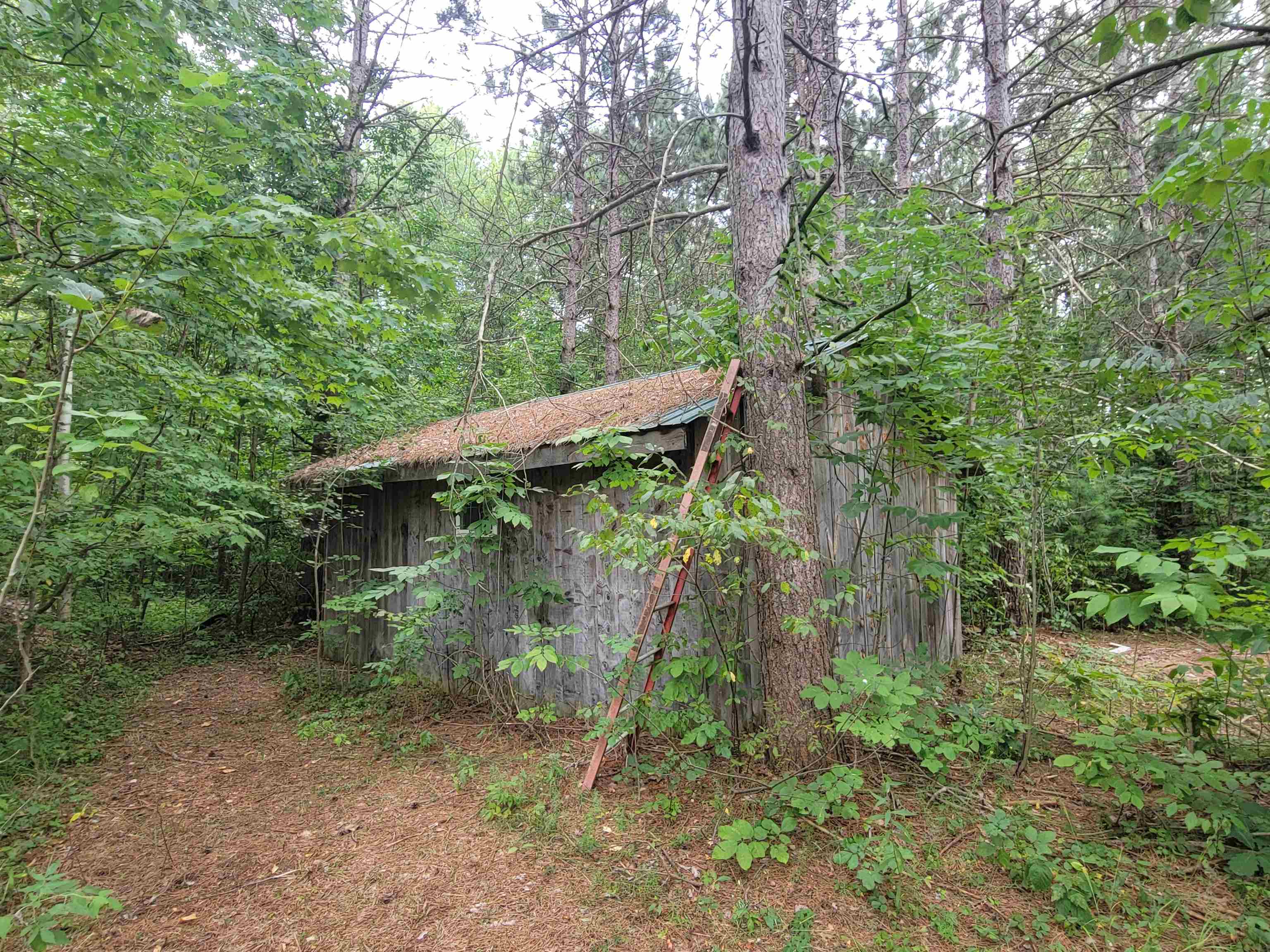 main property photo 35