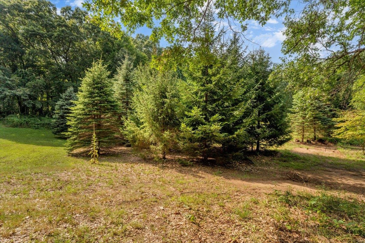main property photo 48