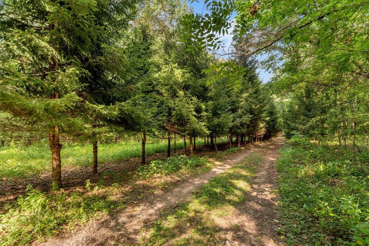 main property photo 51