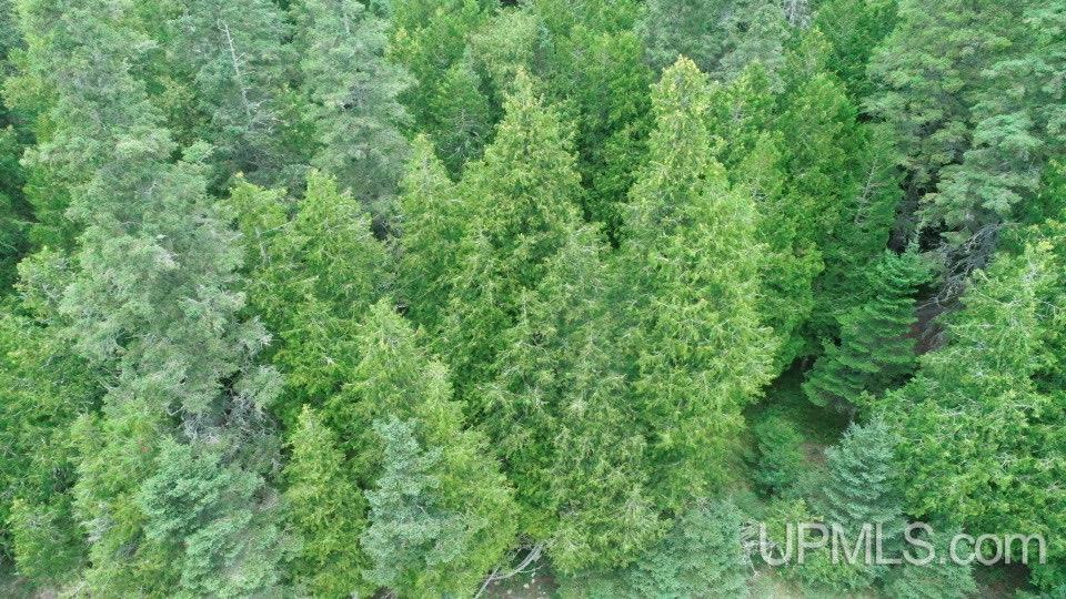 main property photo 55
