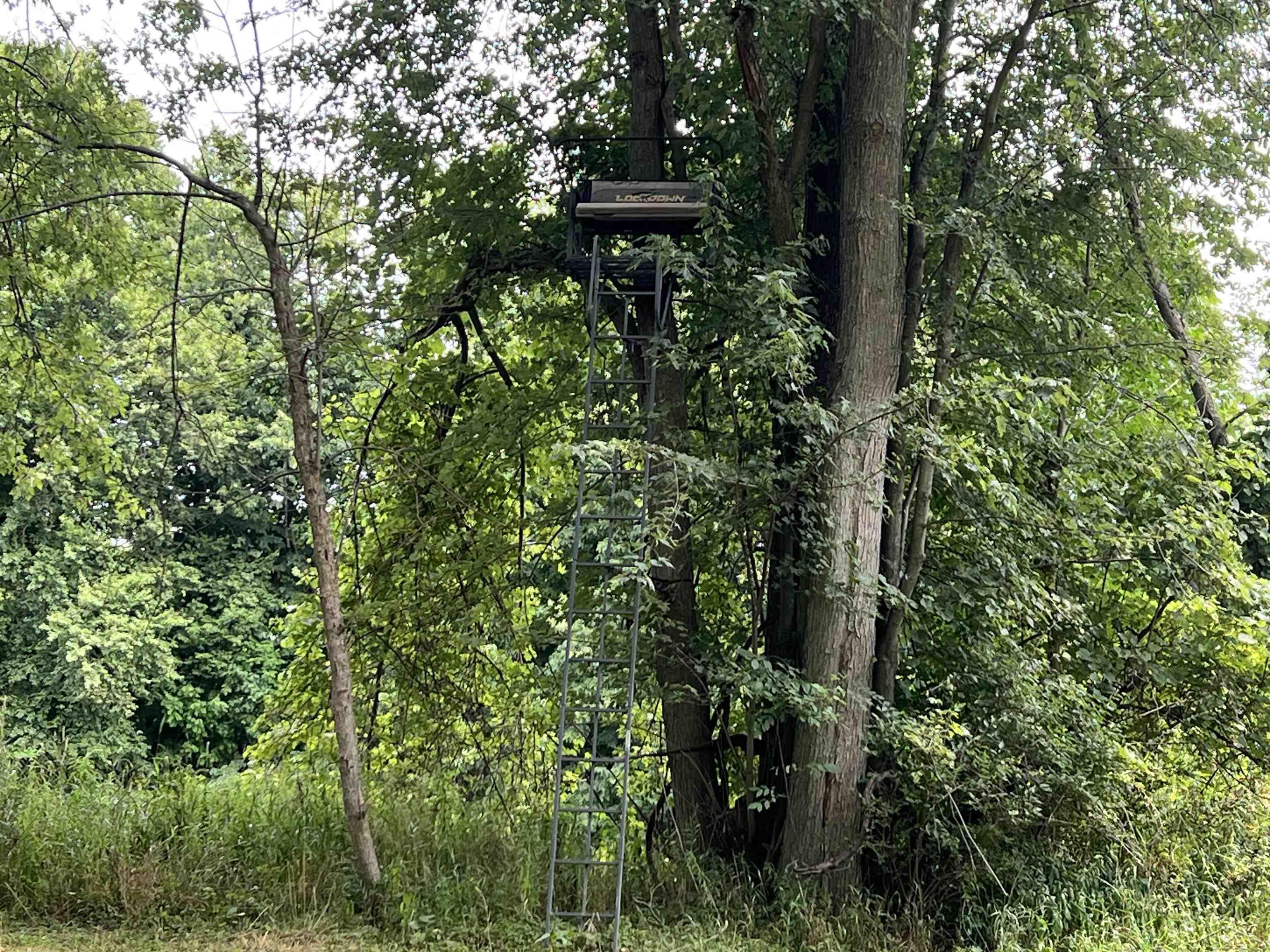 main property photo 37
