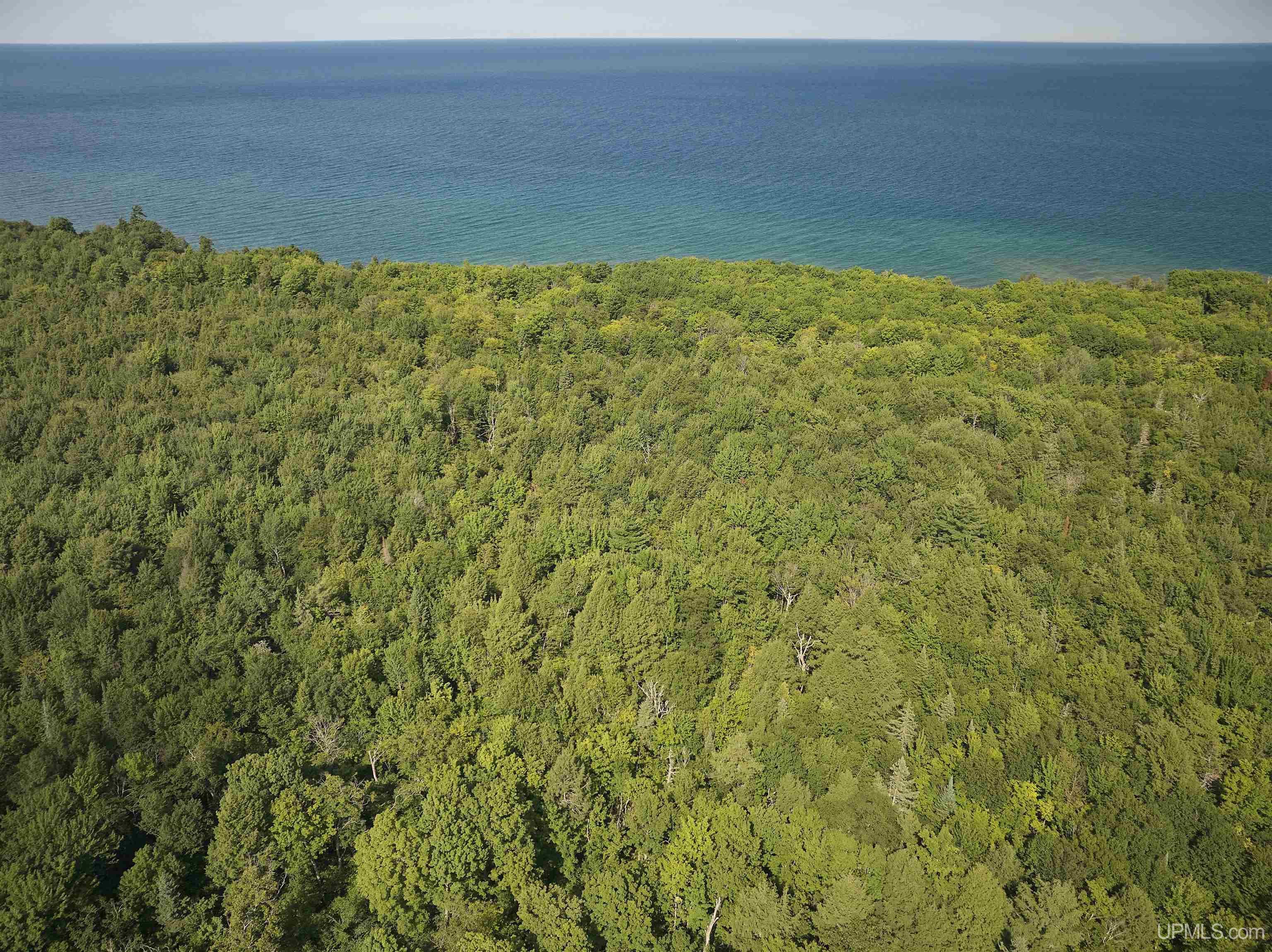 main property photo 47