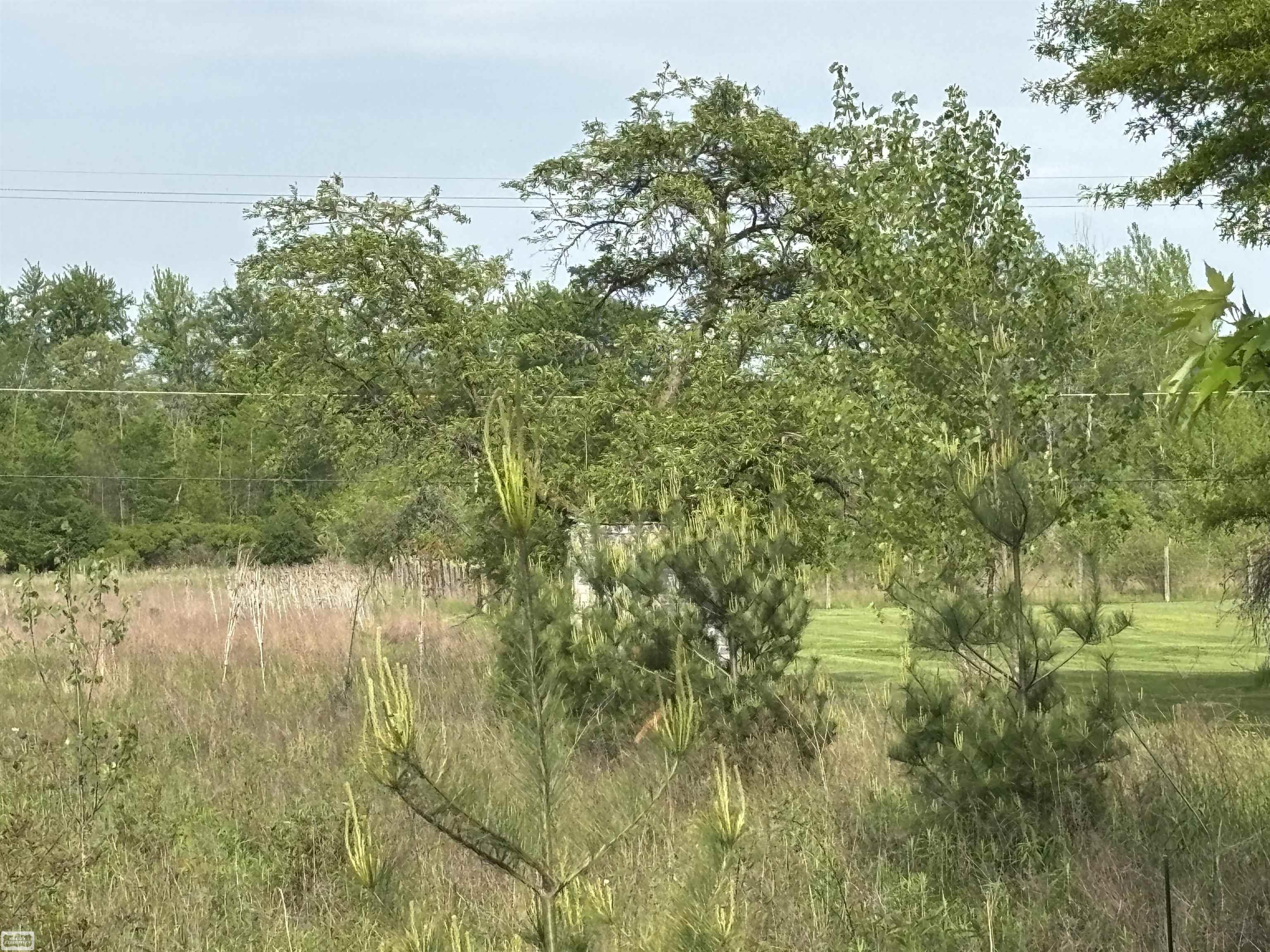 main property photo 12