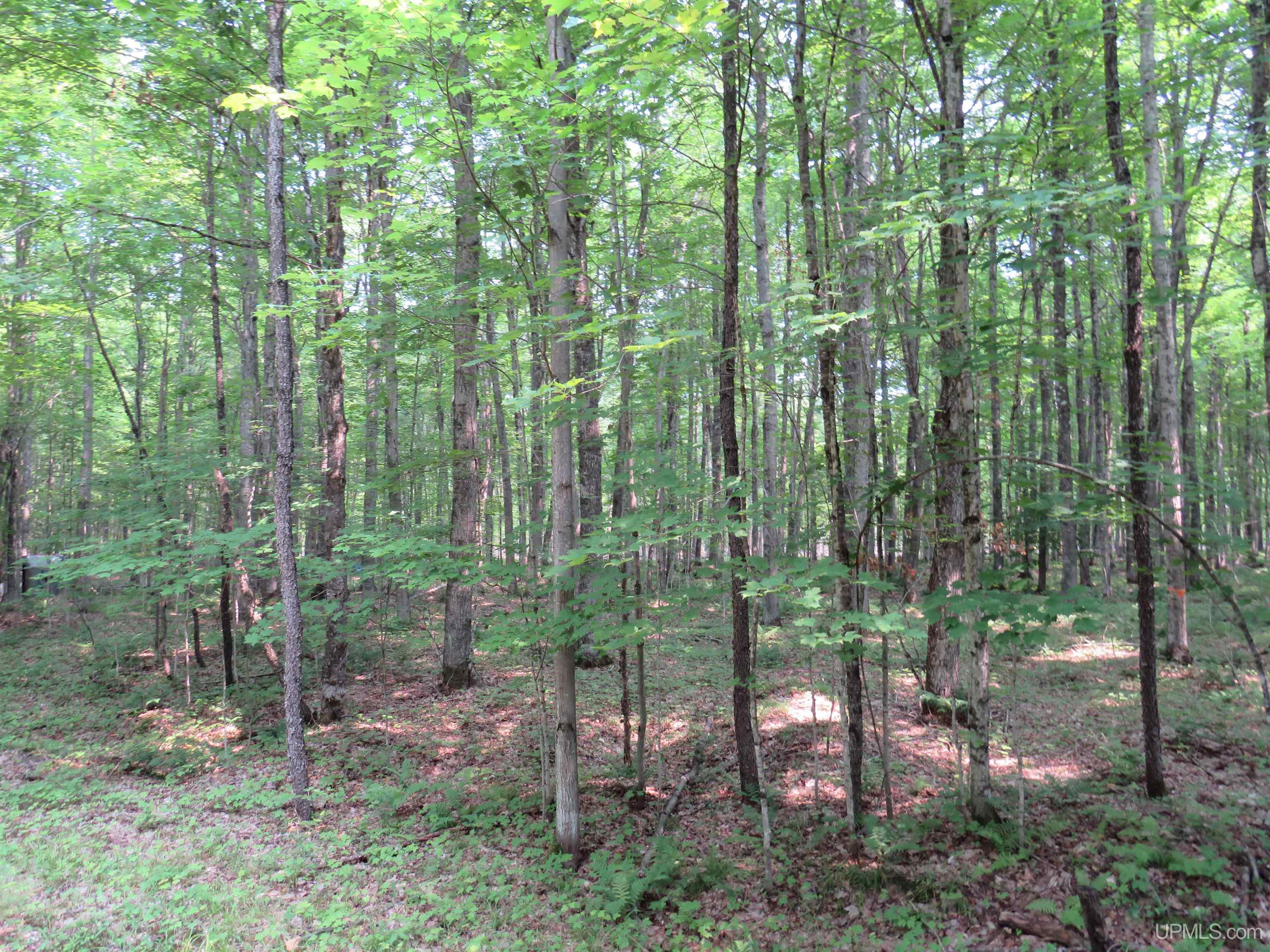 main property photo 45