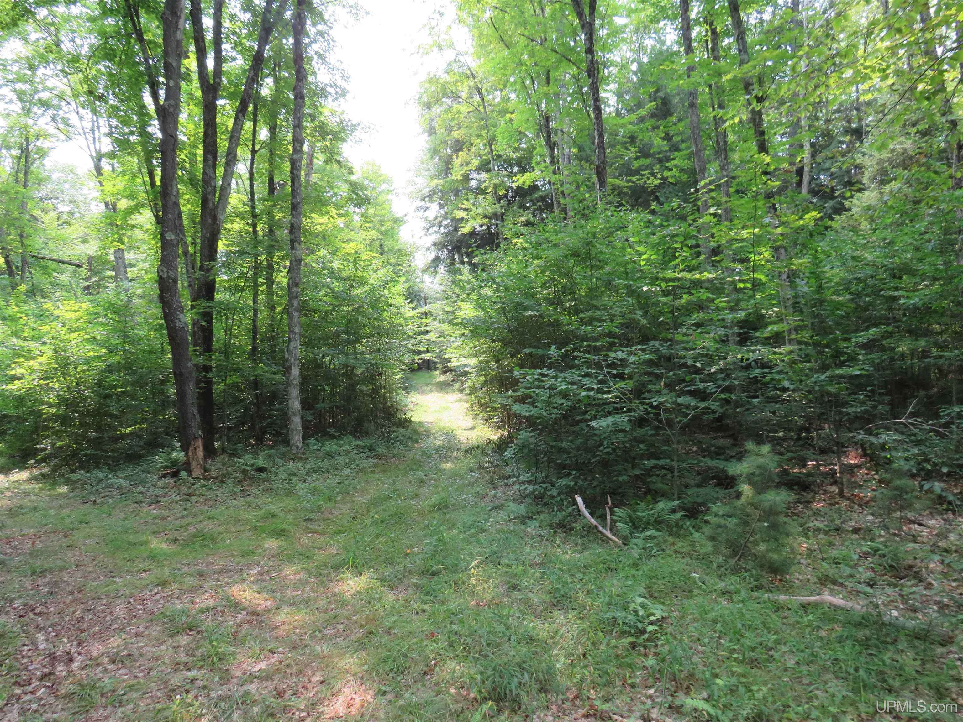 main property photo 46