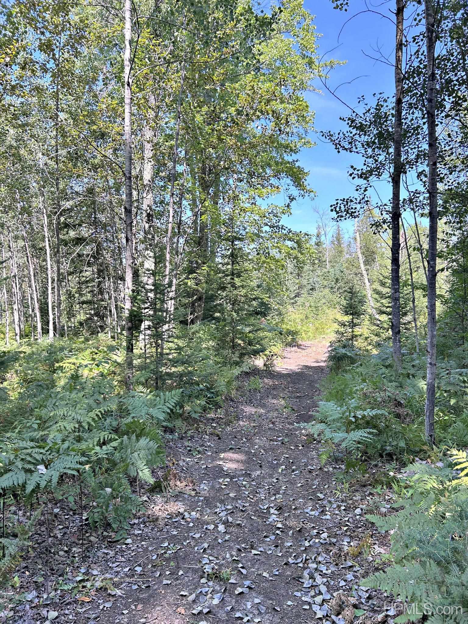 main property photo 13