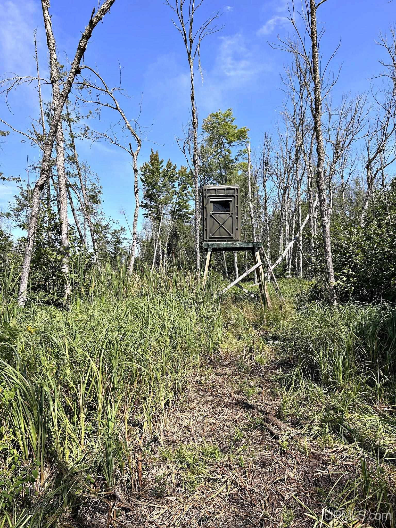 main property photo 14