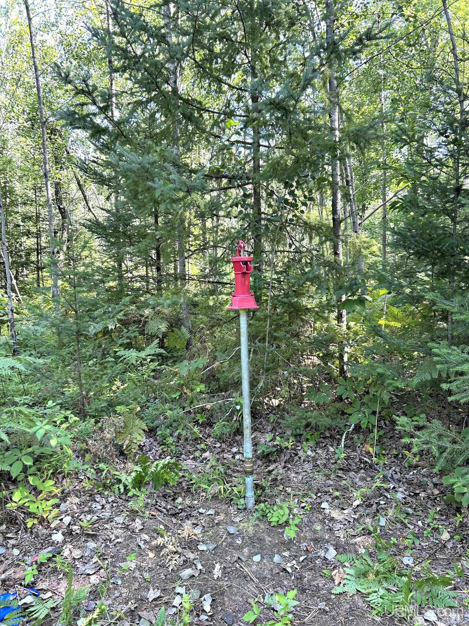main property photo 5