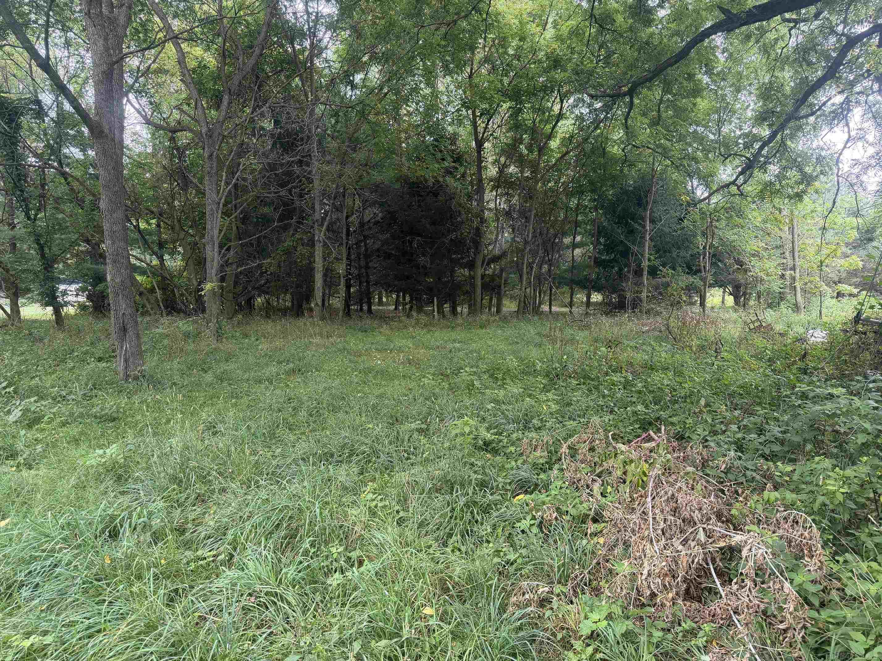 main property photo 4