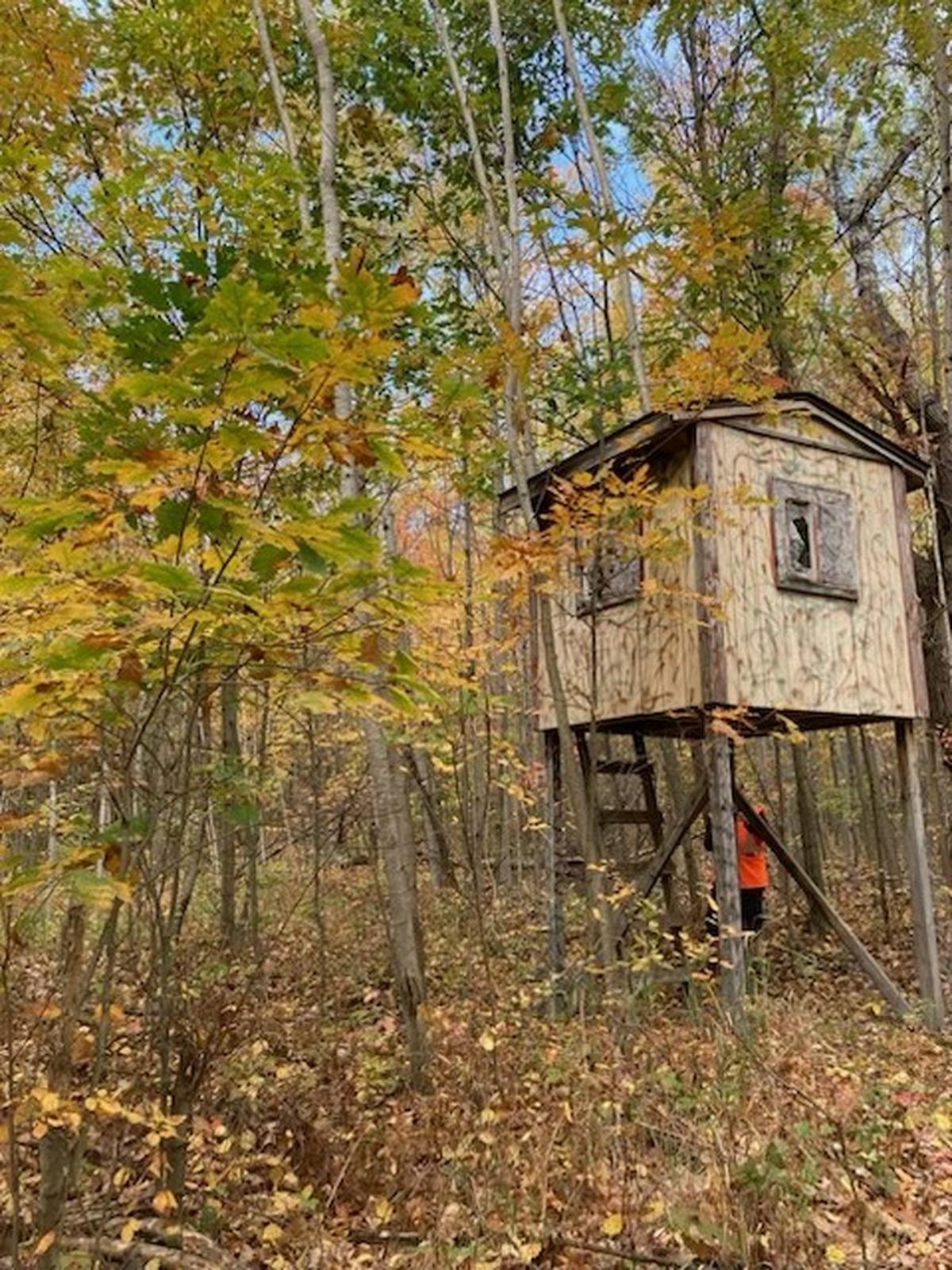 main property photo 35