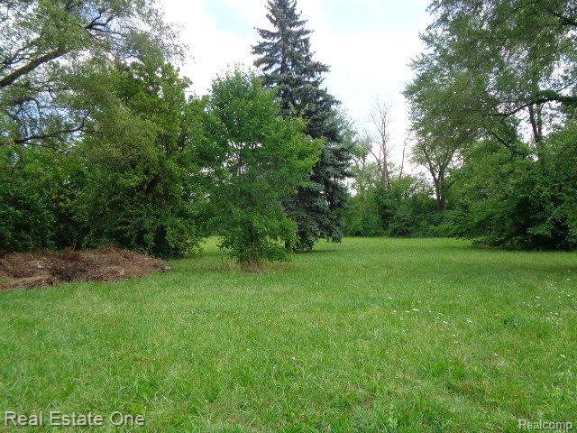 main property photo 6