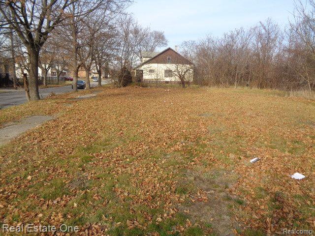 main property photo 7