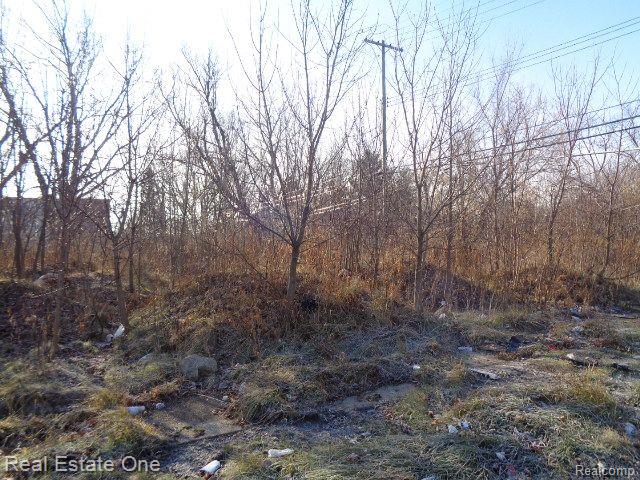 main property photo 12