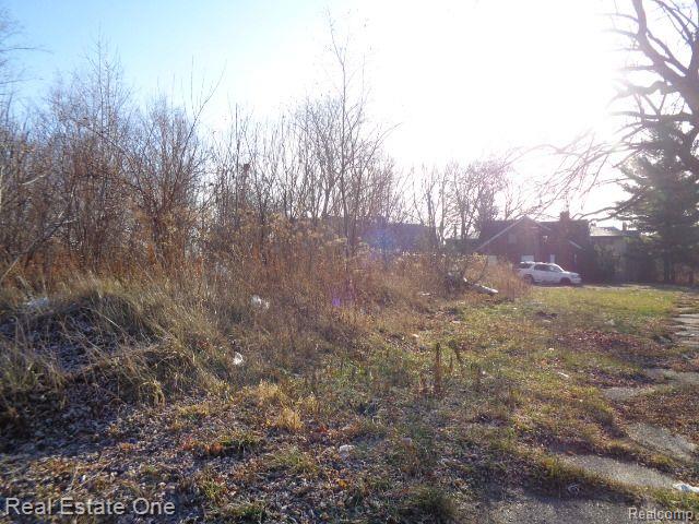 main property photo 14