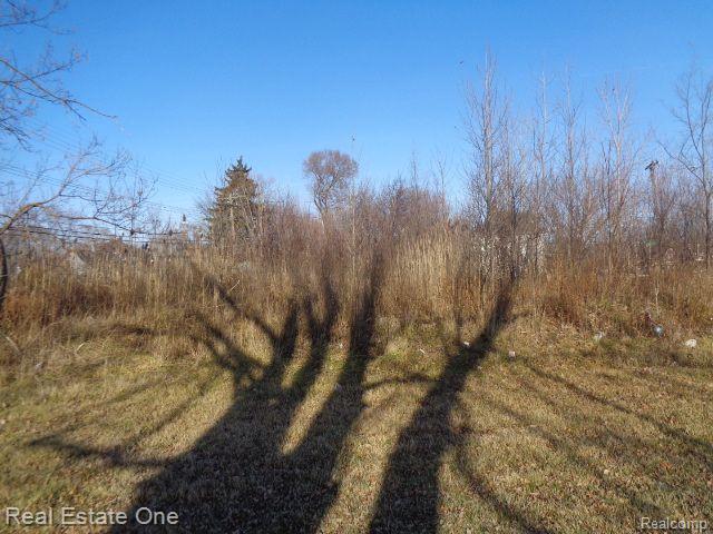 main property photo 8