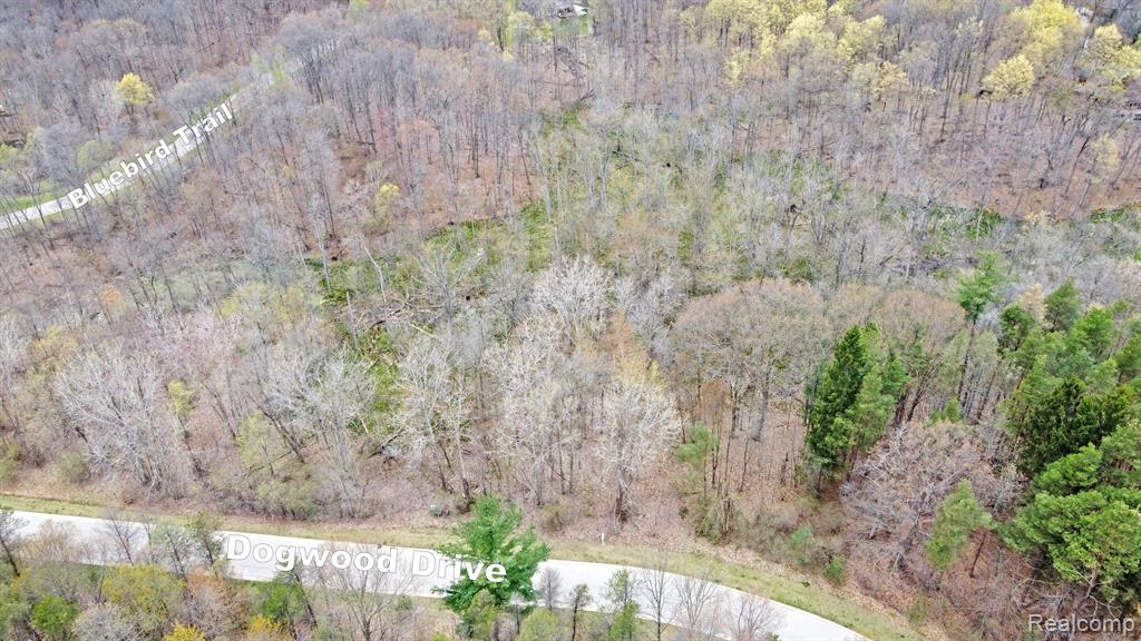 main property photo 11