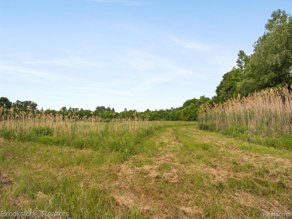 main property photo 15