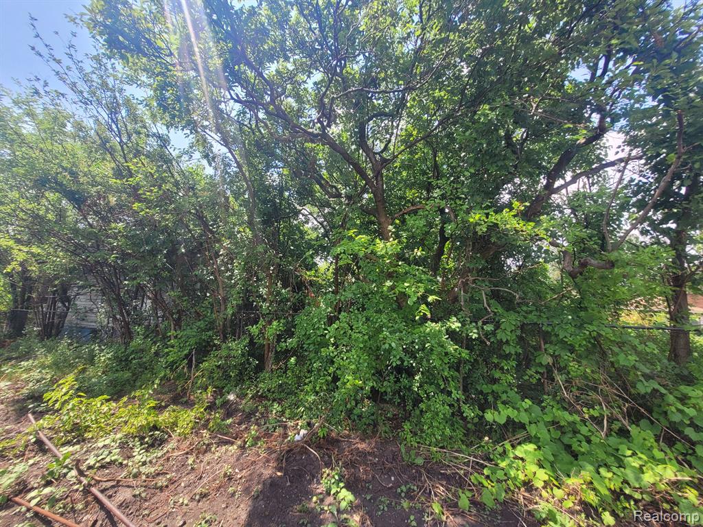 main property photo 13