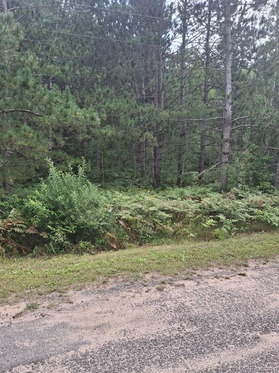 main property photo 6