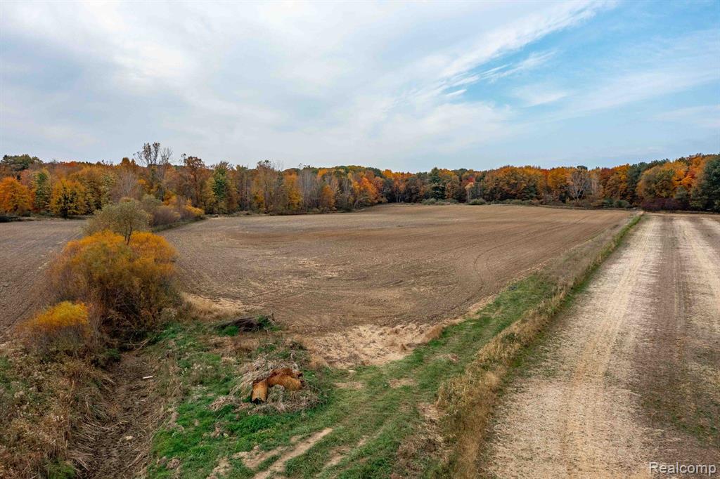 main property photo 11