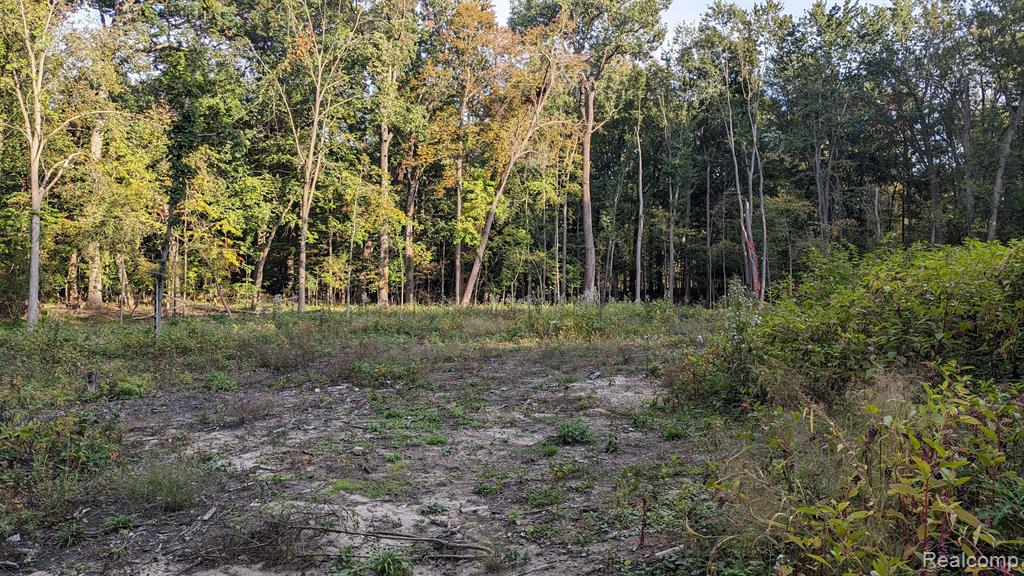 main property photo 9