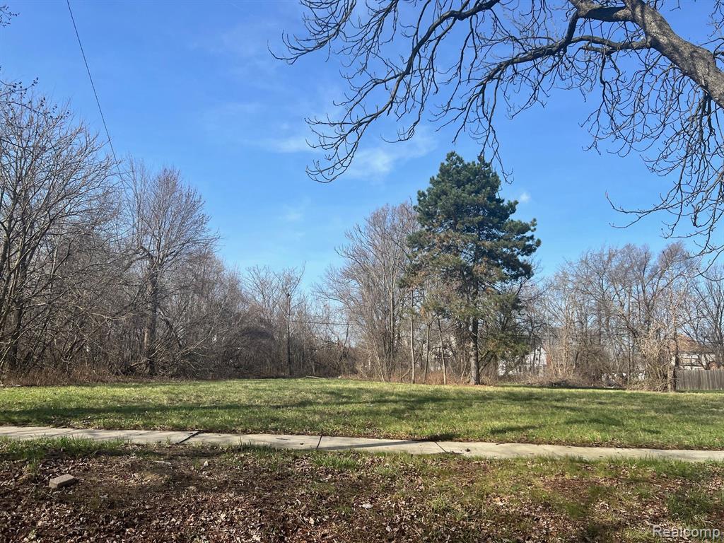 main property photo 6