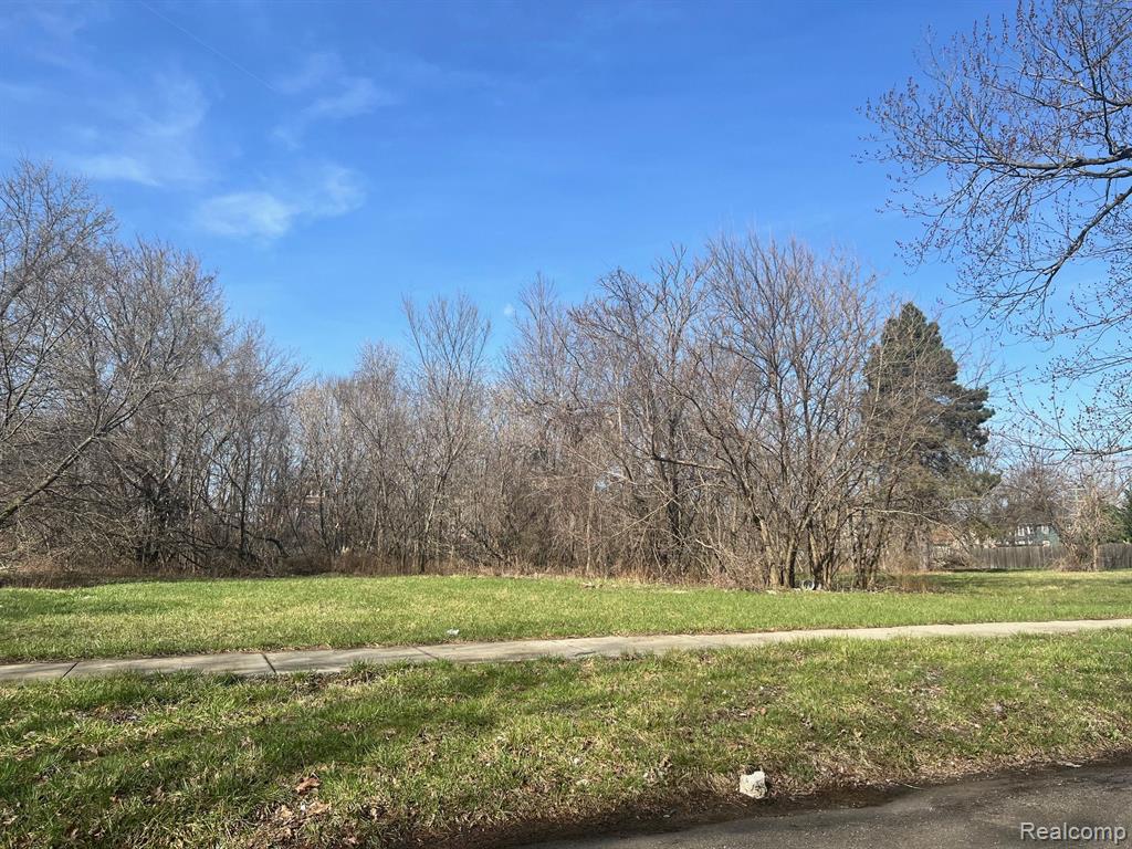 main property photo 9