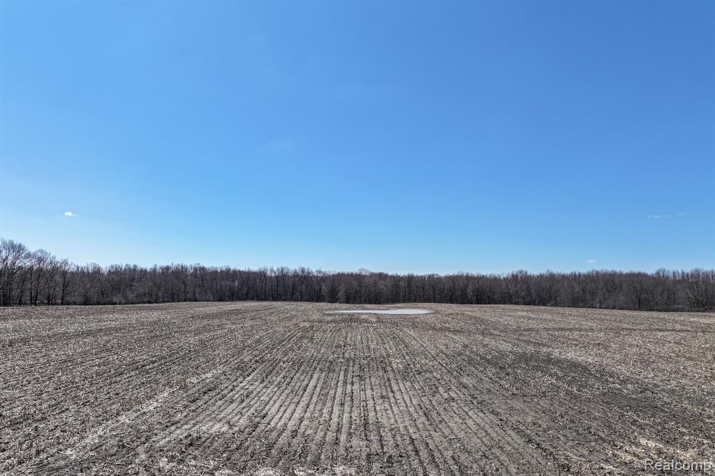 main property photo 11