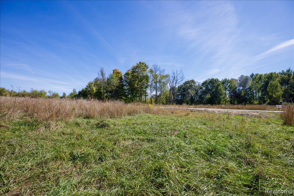 main property photo 43