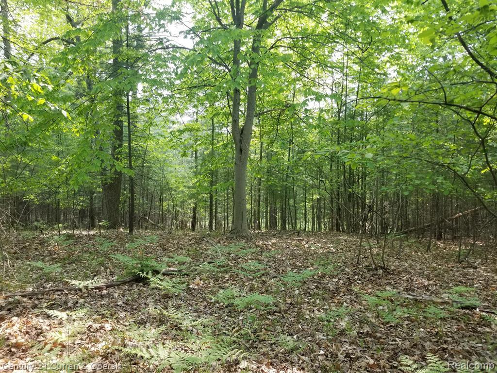 main property photo 0