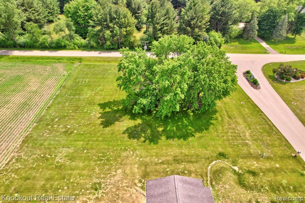 main property photo 11