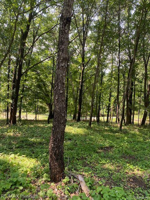 main property photo 21