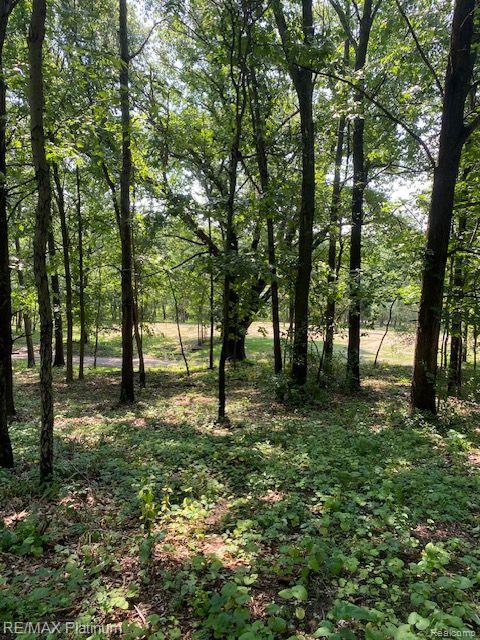 main property photo 24