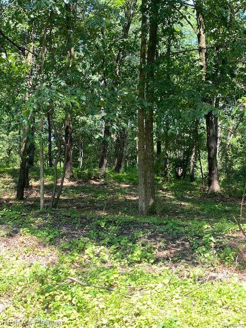 main property photo 44