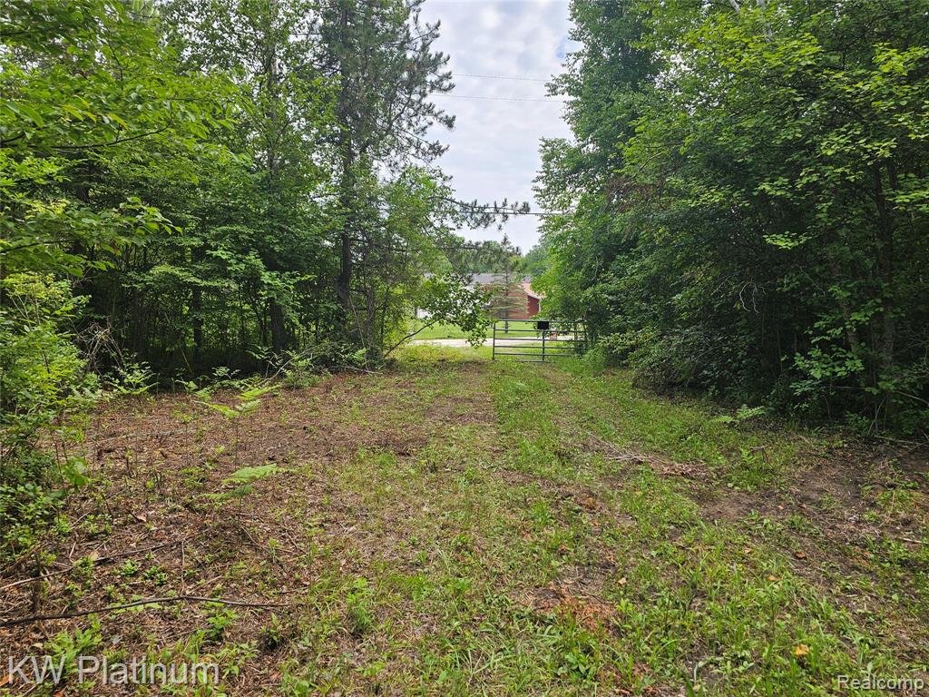 main property photo 5