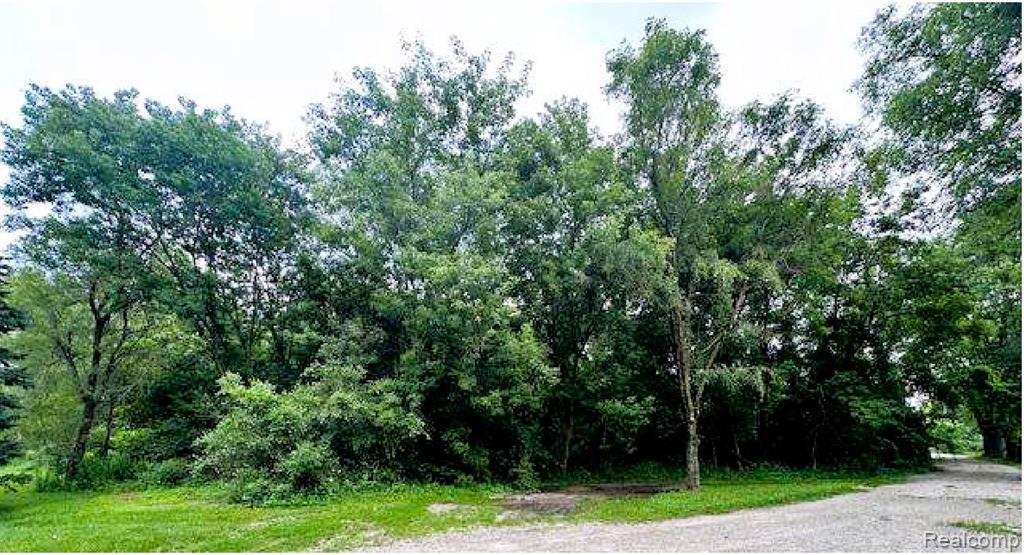 main property photo 7
