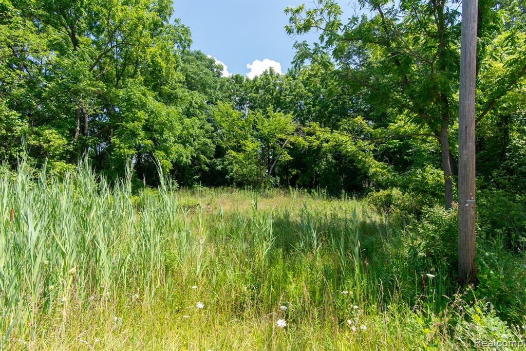 main property photo 0