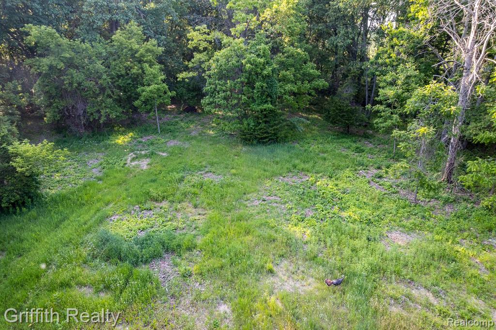 main property photo 8